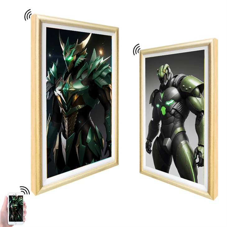 Video Digital Photo Frame
